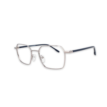 Luster of Luxury - West WV334 Silver