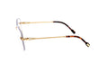 نظارات طبية من FRED - Barakat Optical